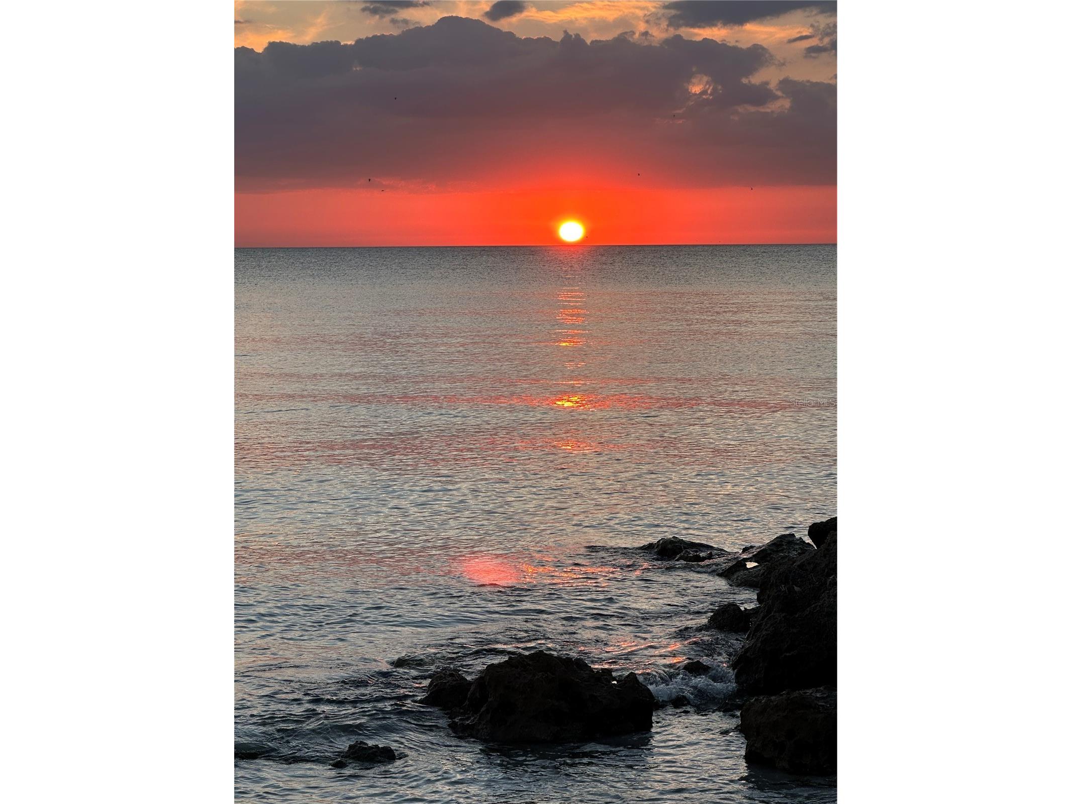 7740 Sanderling Road Sarasota FL 34242 - GULF OF MEXICO A4697623 image14