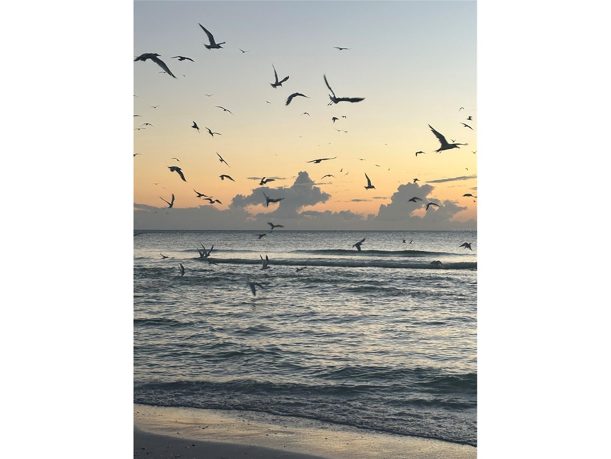 7740 Sanderling Road Sarasota FL 34242 - GULF OF MEXICO A4697623 image18