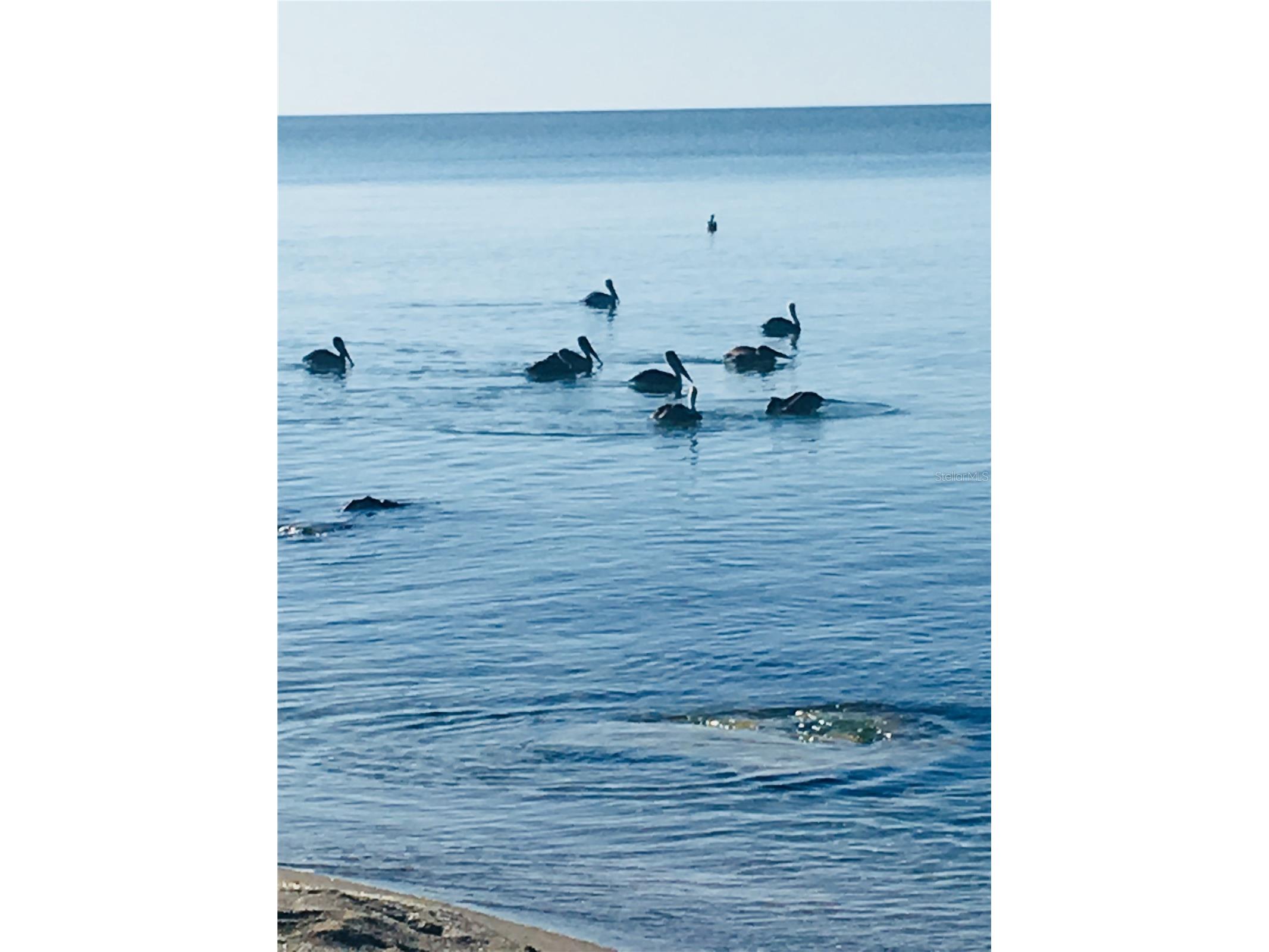7740 Sanderling Road Sarasota FL 34242 - GULF OF MEXICO A4697623 image19