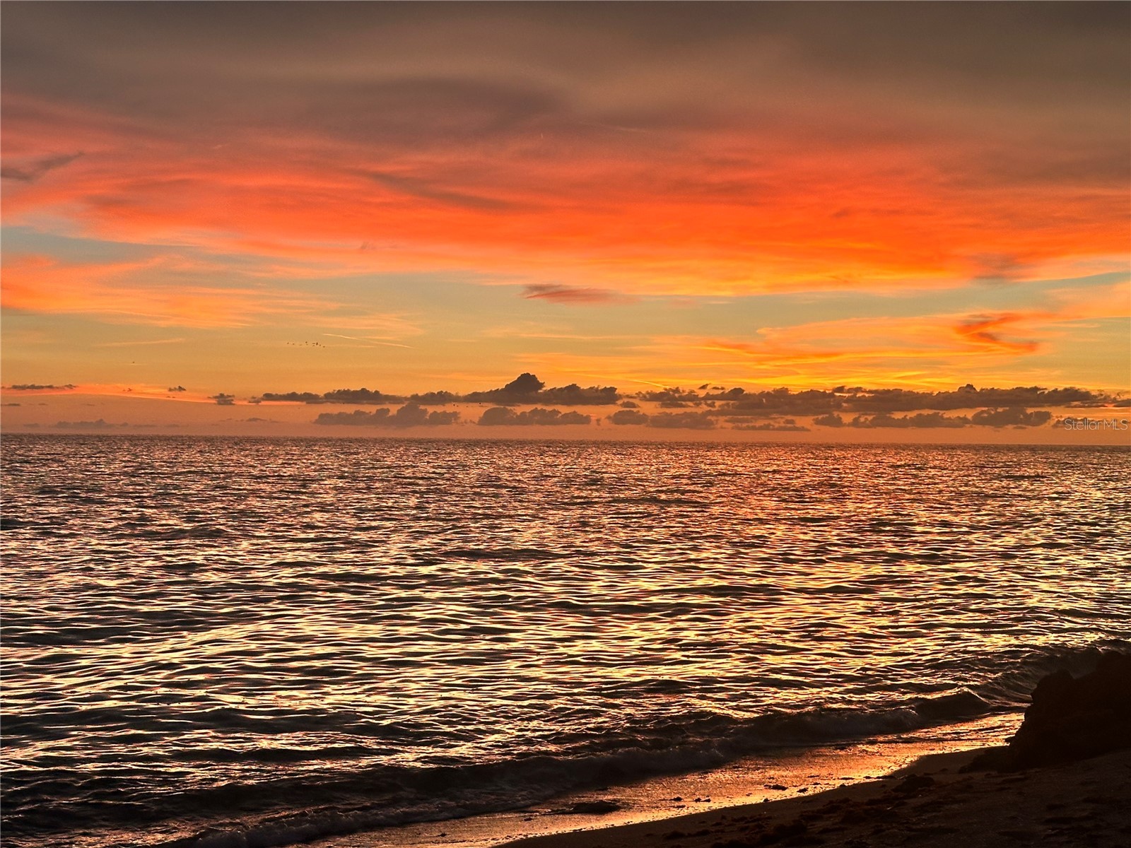 7740 Sanderling Road Sarasota FL 34242 - GULF OF MEXICO A4697623 image6