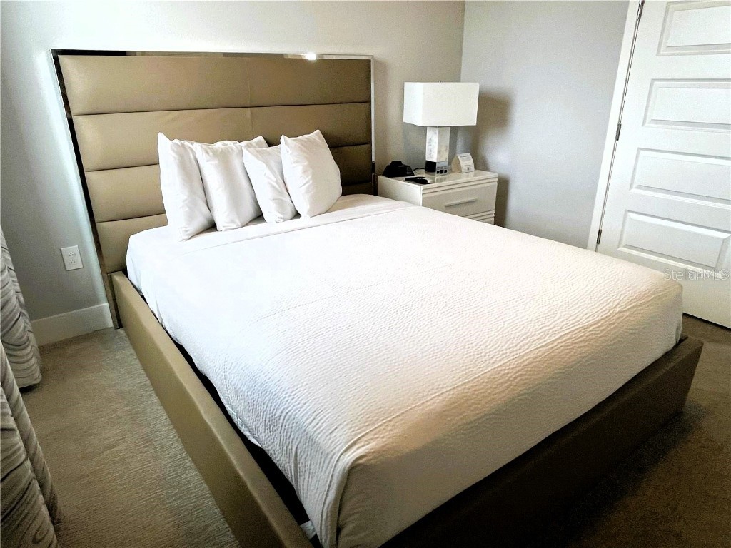 7740 Sandy Ridge Drive #203 Reunion FL 34747 O6322602 image14