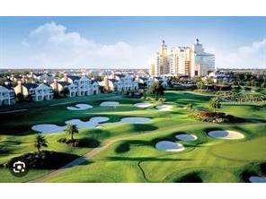 7740 Sandy Ridge Drive #247 Reunion FL 34747 O6349052 image19