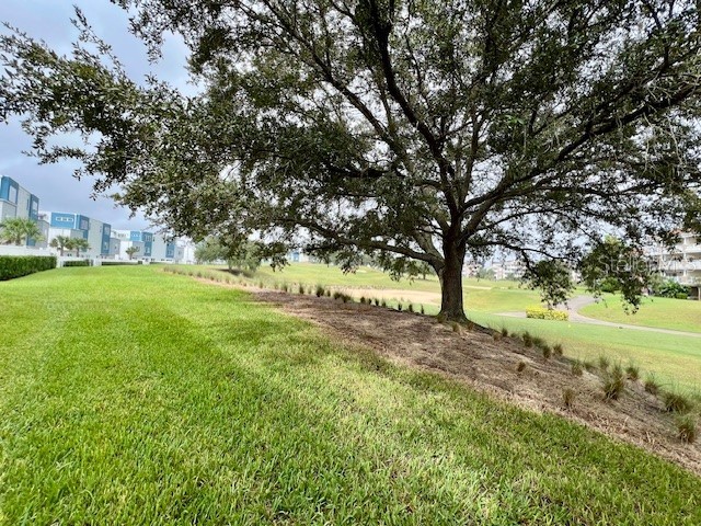 7740 Sandy Ridge Drive #247 Reunion FL 34747 O6349052 image5