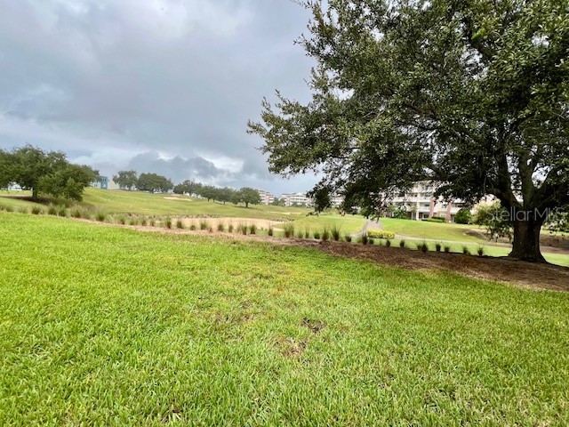 7740 Sandy Ridge Drive #247 Reunion FL 34747 O6349052 image7