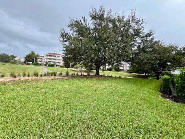 7740 Sandy Ridge Drive #247 Reunion FL 34747 O6349052 image8