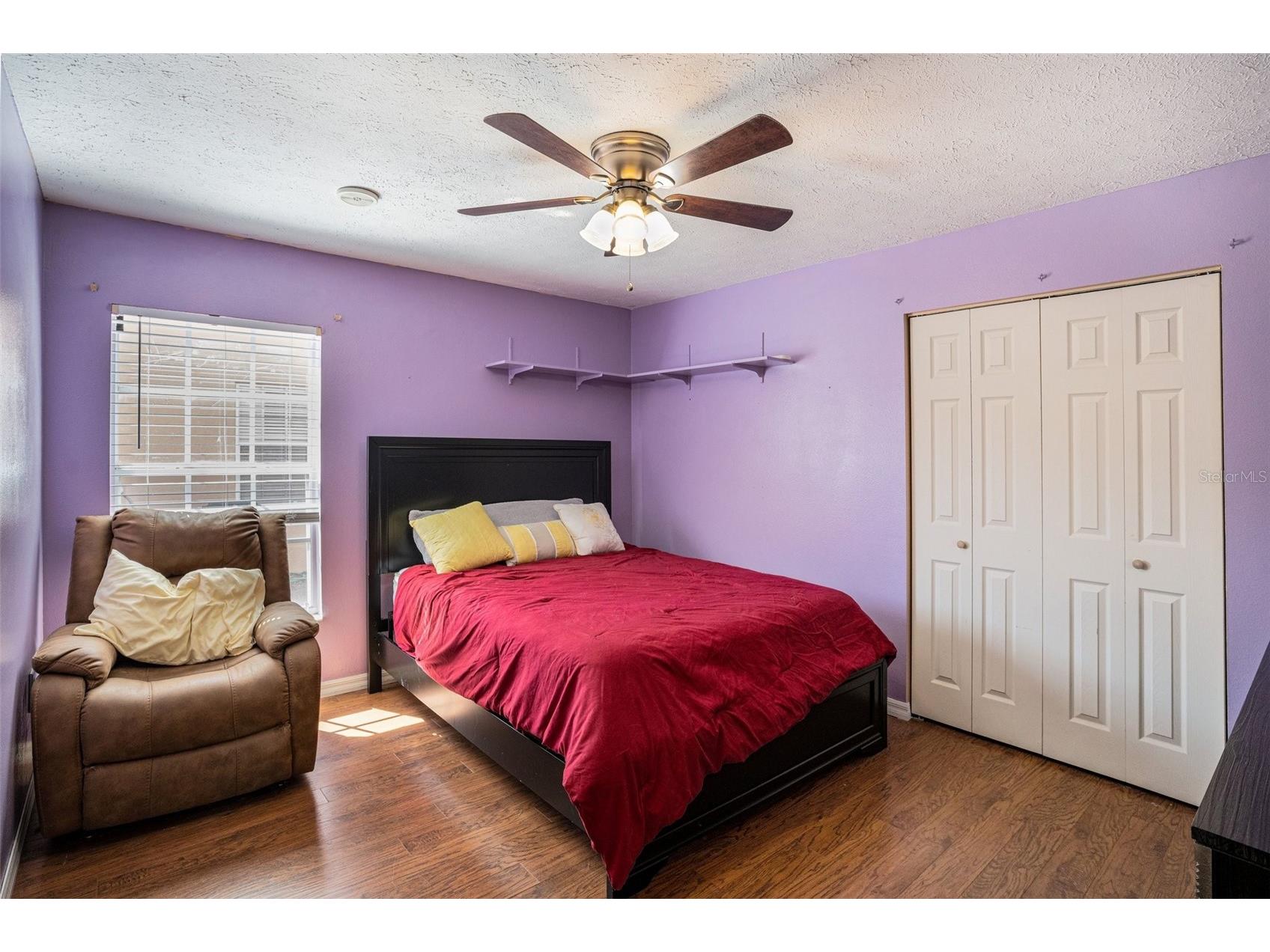 7741 Damask Lane New Port Richey FL 34654 TB8479324 image22