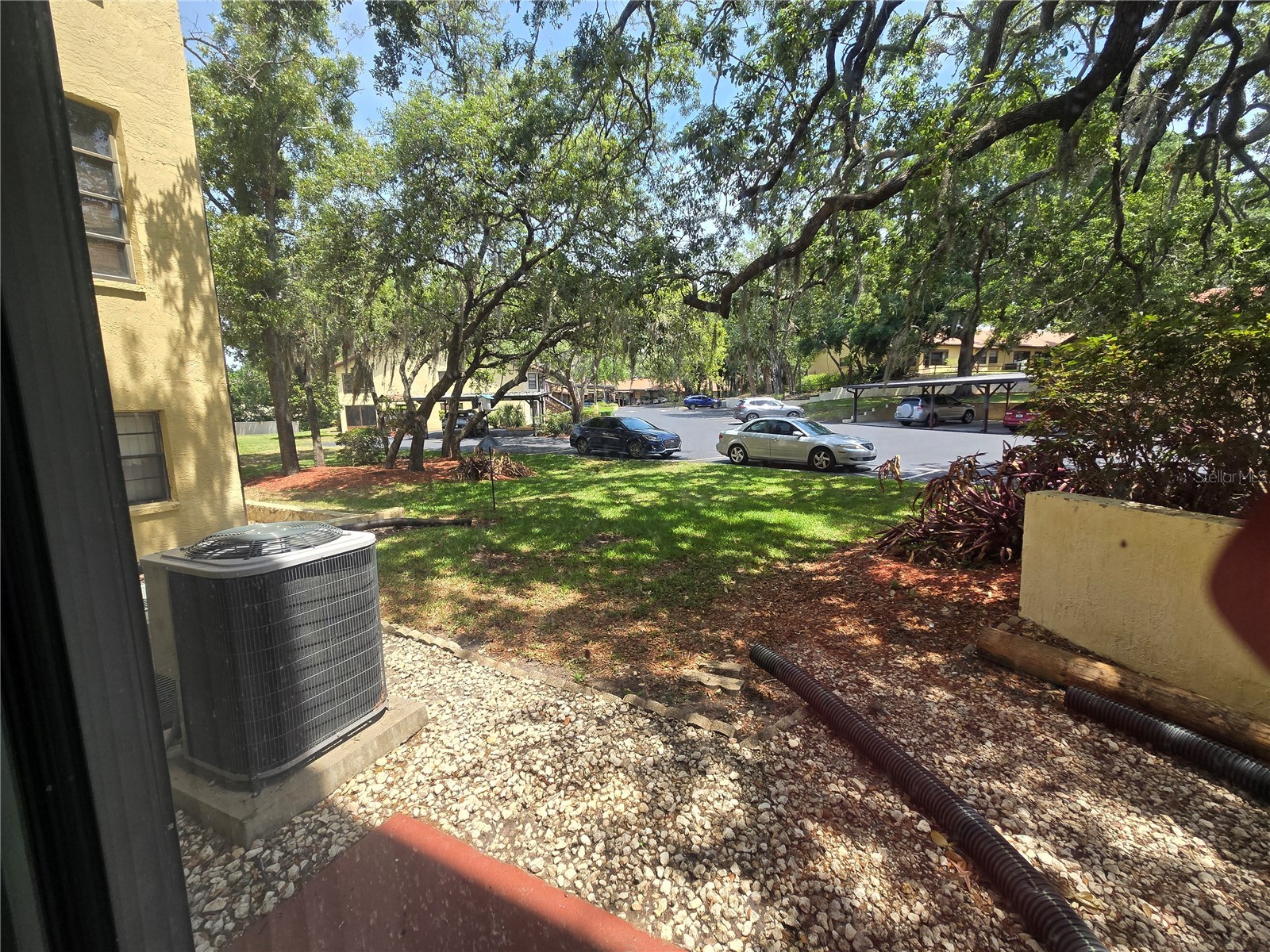7741 Forest Trail #3 Port Richey FL 34668 TB8509191 image20