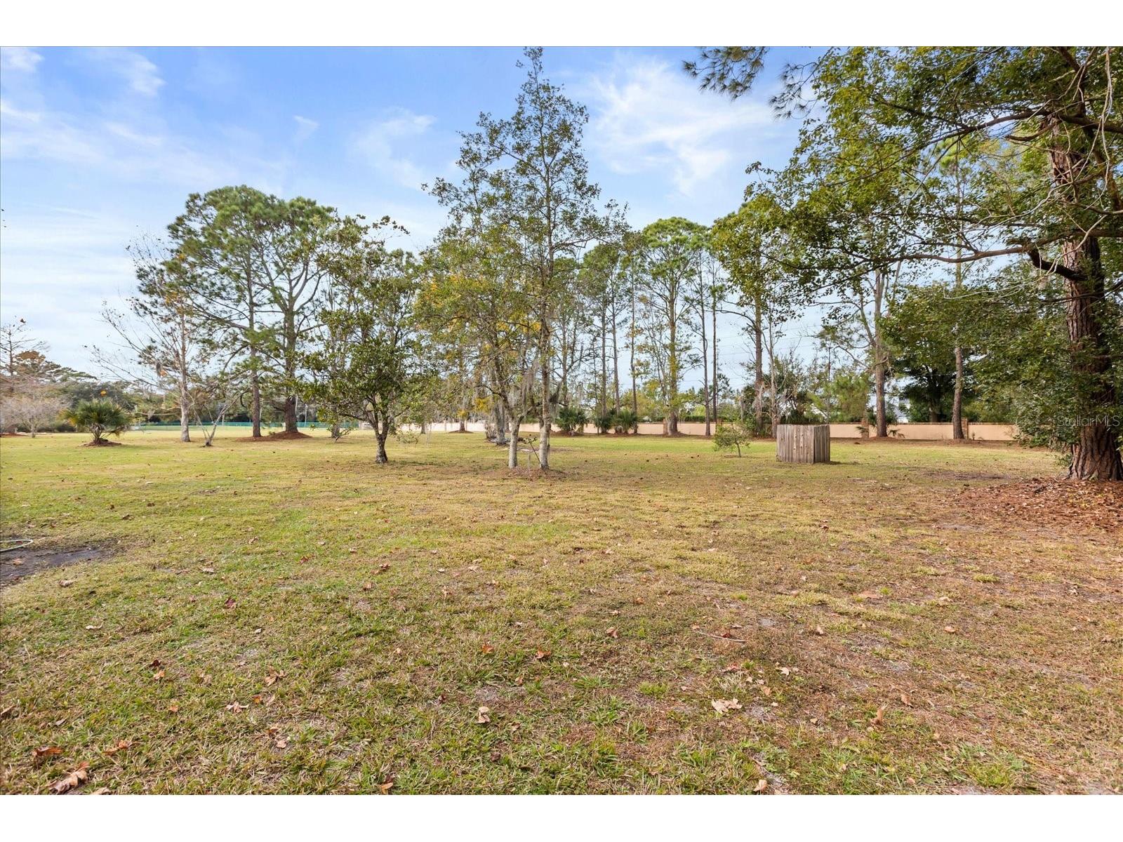 7741 Lake Andrea Circle Mount Dora FL 32757 O6368455 image31