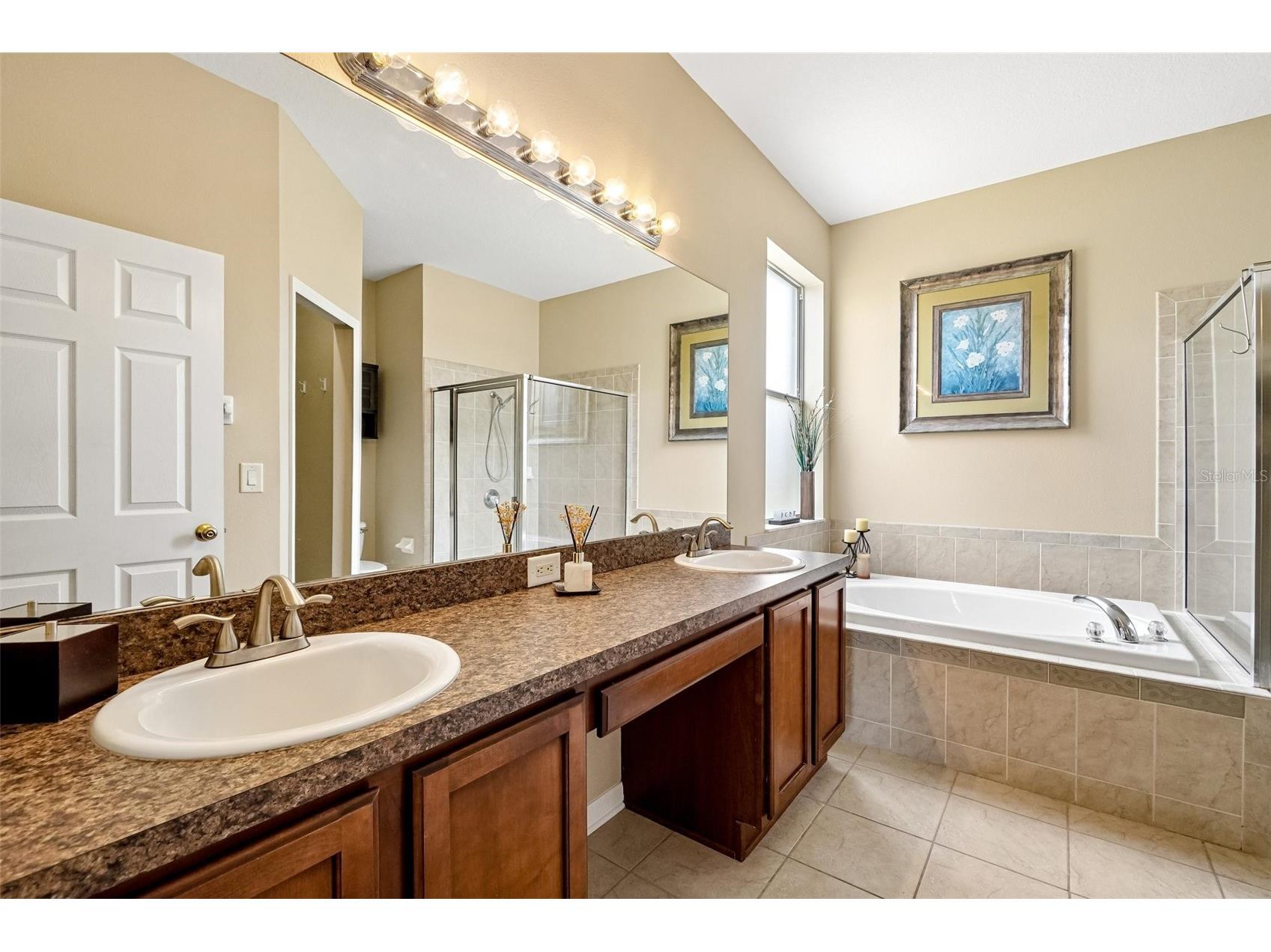 7742 Bulls Head Drive Wesley Chapel FL 33545 TB8524213 image15