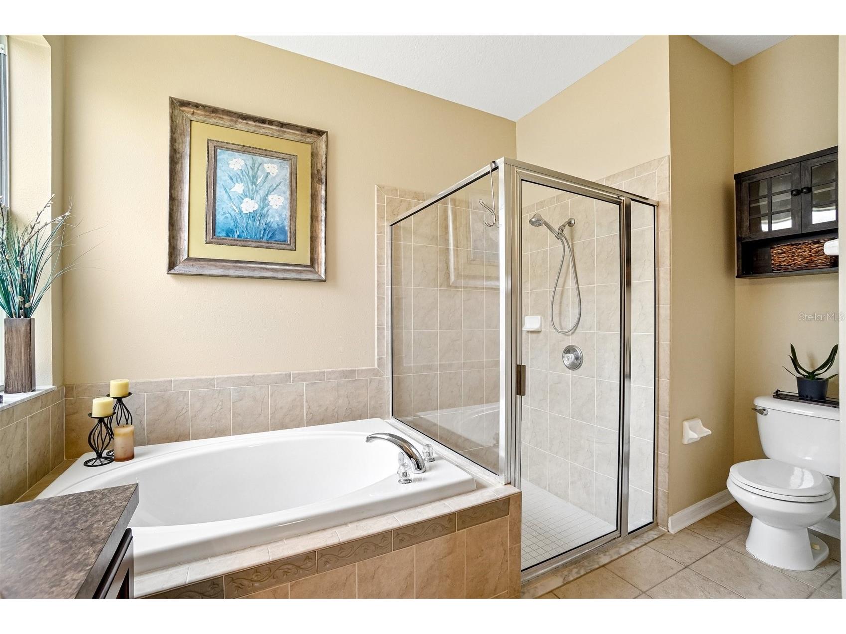 7742 Bulls Head Drive Wesley Chapel FL 33545 TB8524213 image16