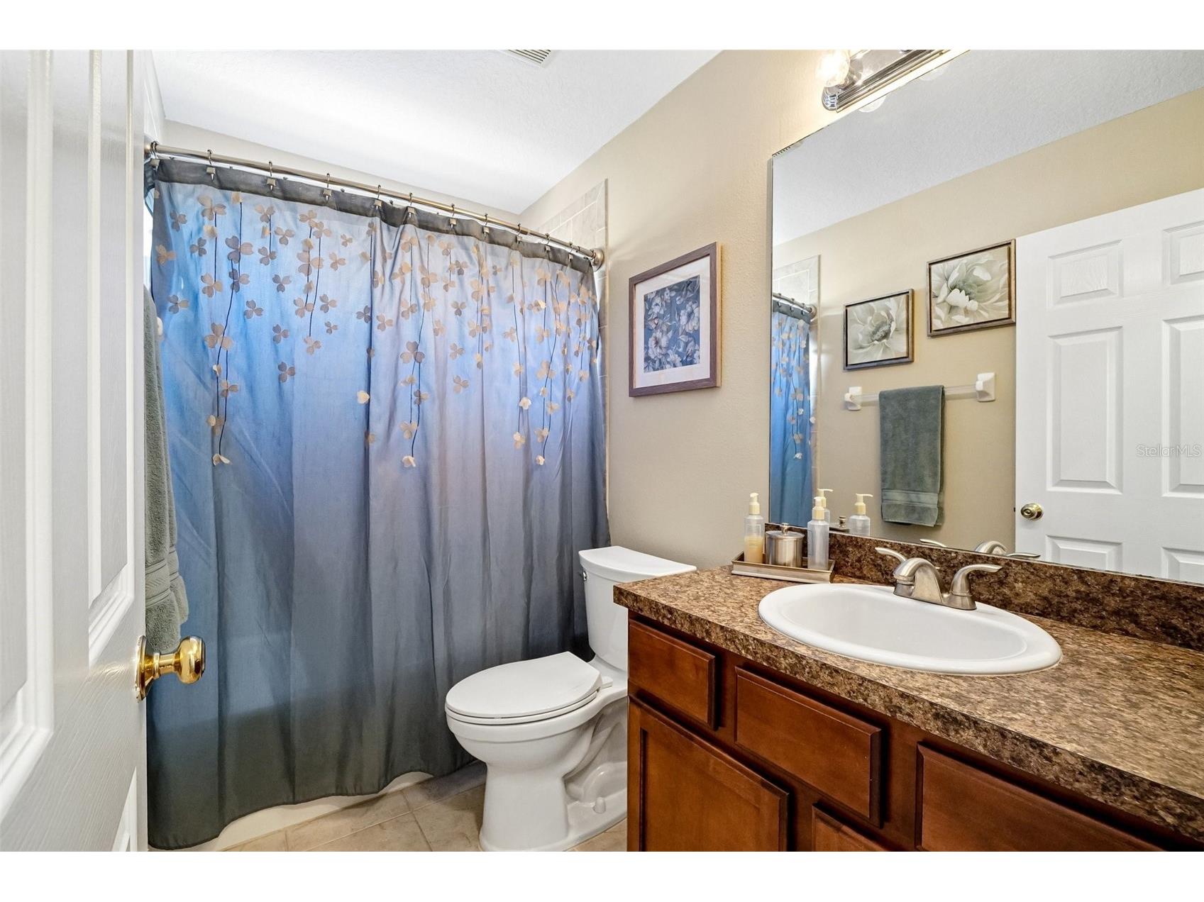7742 Bulls Head Drive Wesley Chapel FL 33545 TB8524213 image26