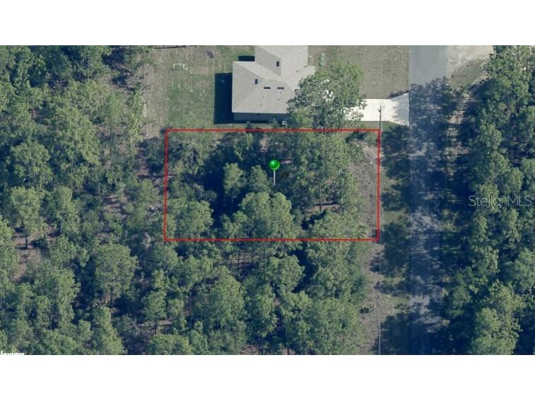 7742 N Quibble Avenue Dunnellon FL 34434 O6346849 image1