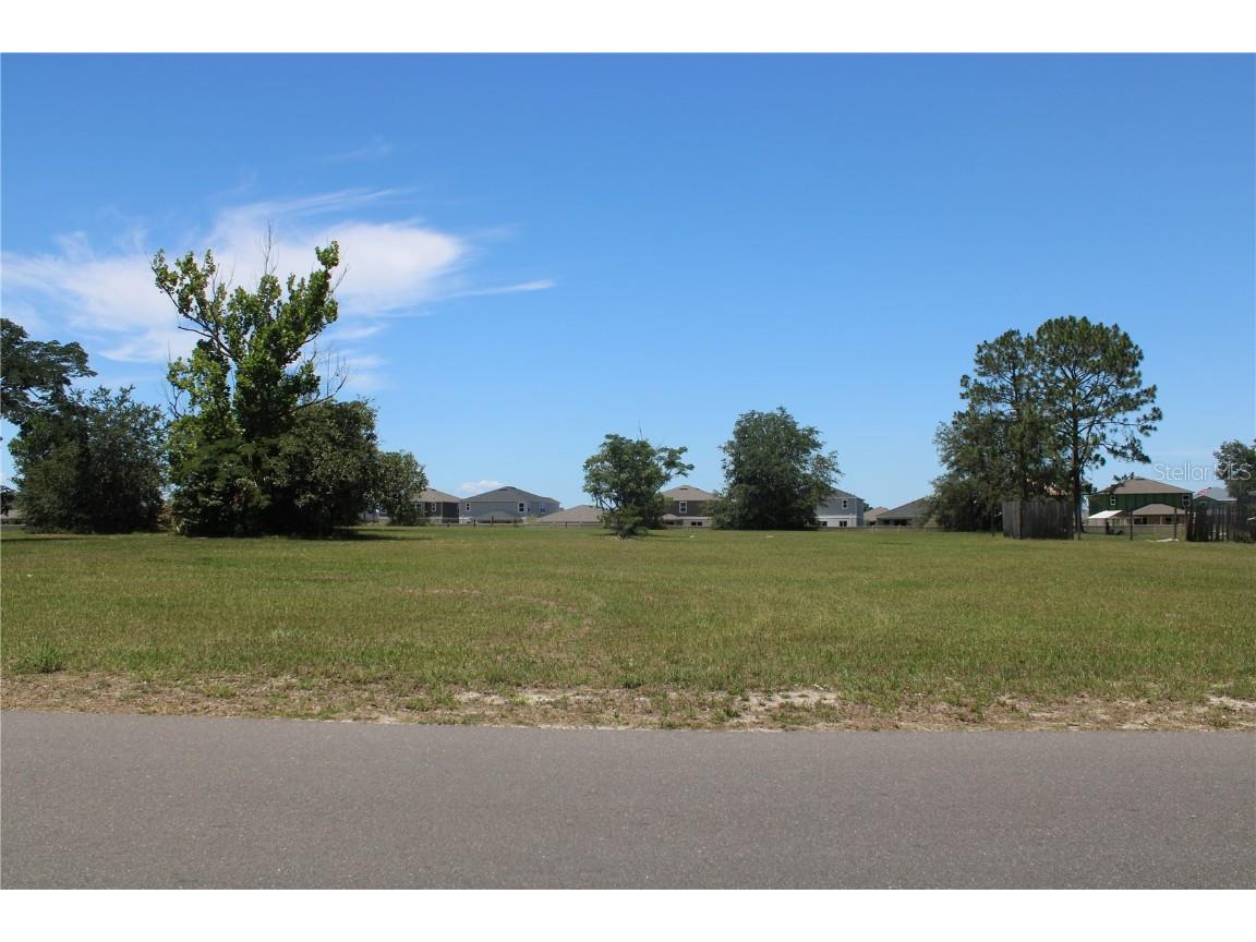 7743 Blair Drive Wesley Chapel FL 33544 U8244397 image1