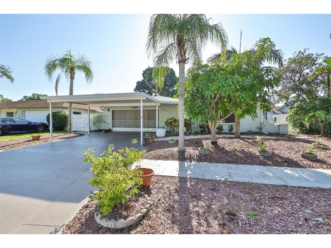 7745 Jodi Lynn Drive Tampa FL 33615 T3444962 image1