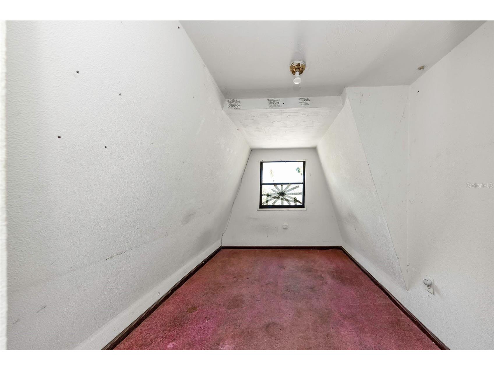 7747 63rd Street N Pinellas Park FL 33781 TB8509707 image21