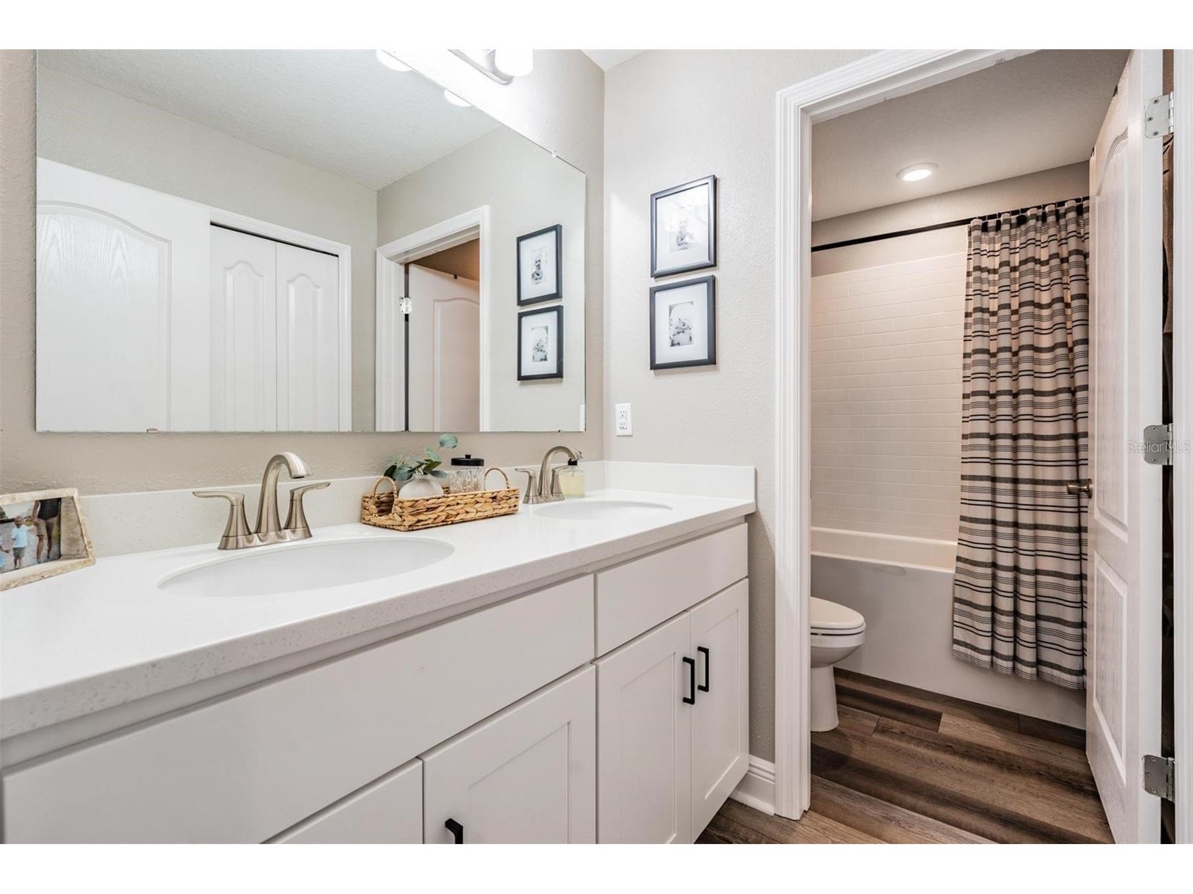 7747 Abby Brooks Circle Wesley Chapel FL 33545 TB8522242 image34