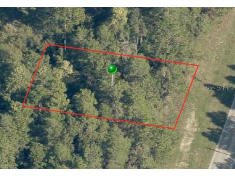 7748 N Elkcam Boulevard Citrus Springs FL 34433 A4578426 image2