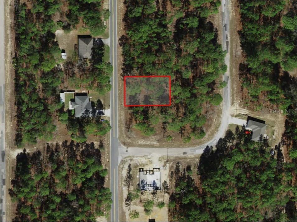 7749 N Santos Drive Citrus Springs FL 34434 A4675558 image1