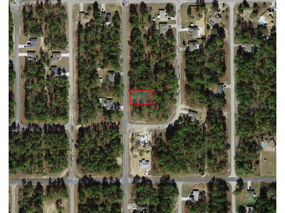 7749 N Santos Drive Citrus Springs FL 34434 A4675558 image2