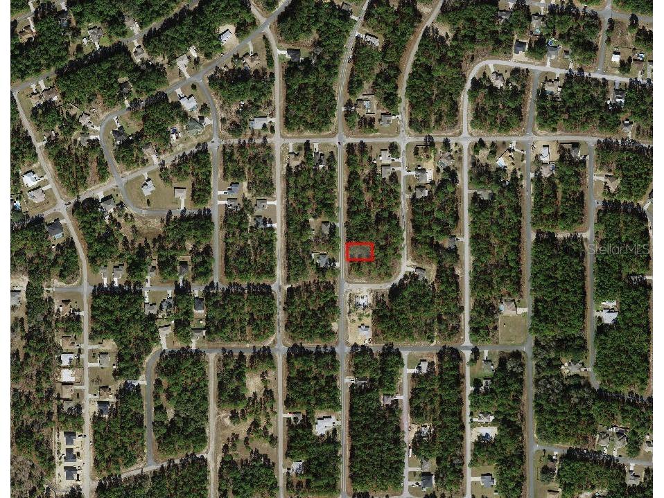 7749 N Santos Drive Citrus Springs FL 34434 A4675558 image3