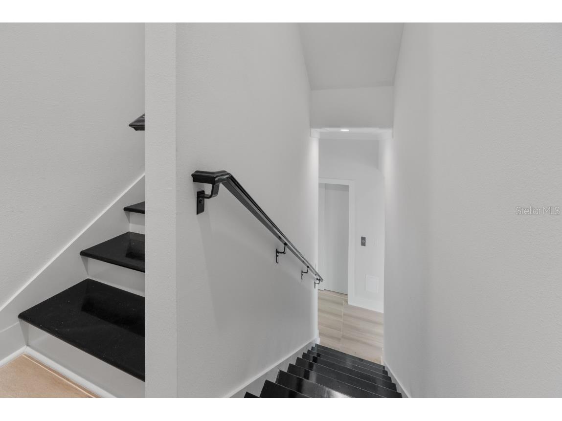 775 Gran Kaymen Way Apollo Beach FL 33572 TB8431126 image15