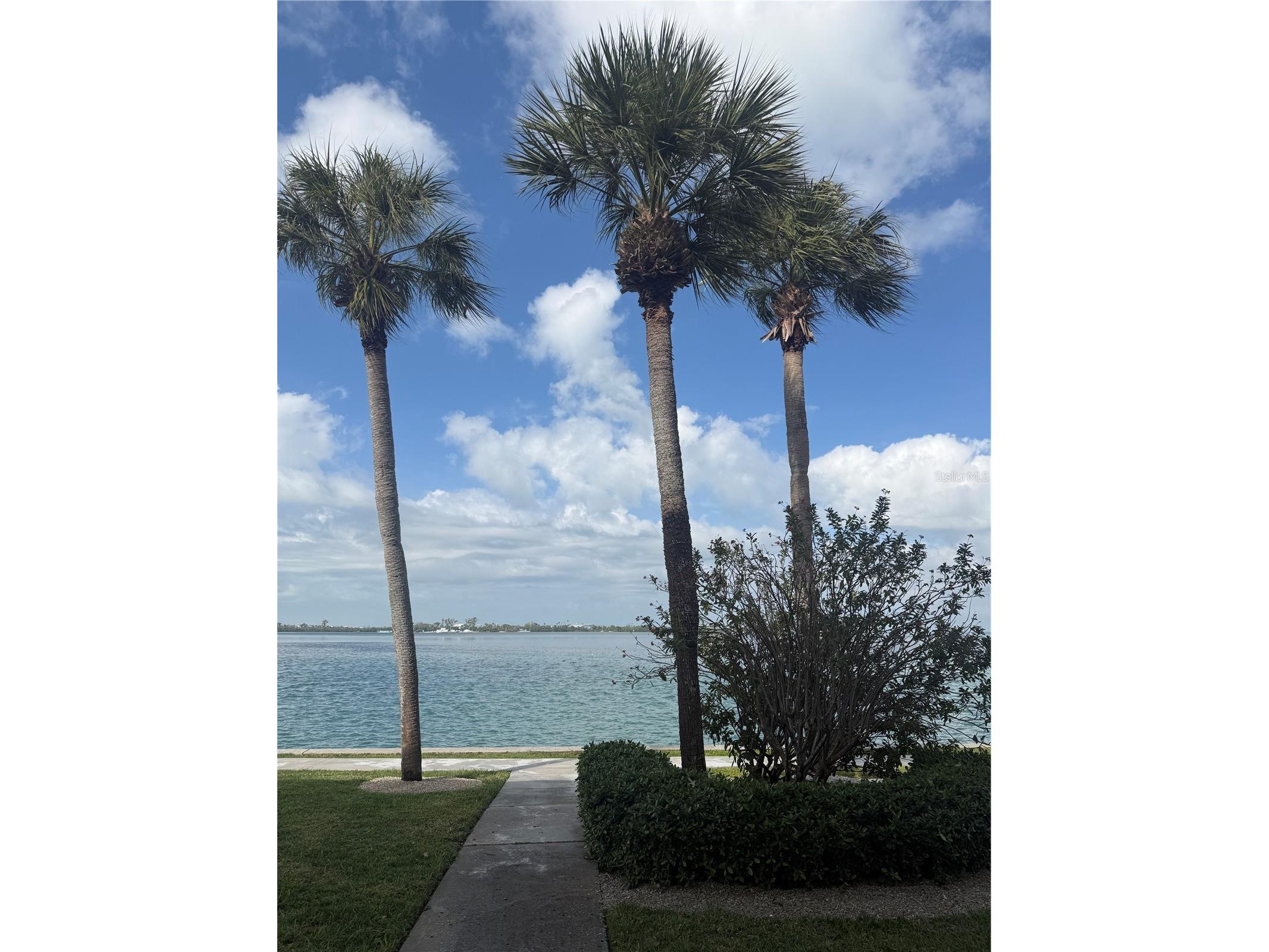 775 John Ringling Boulevard # 33 Sarasota FL 34236 - SARASOTA BAY A4668031 image34