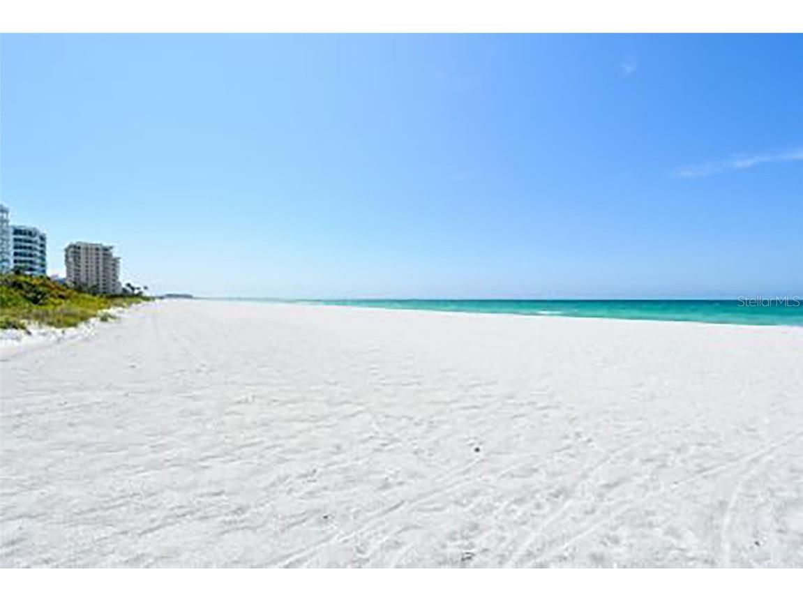 775 Longboat Club Road #304 Longboat Key FL 34228 A4671935 image47