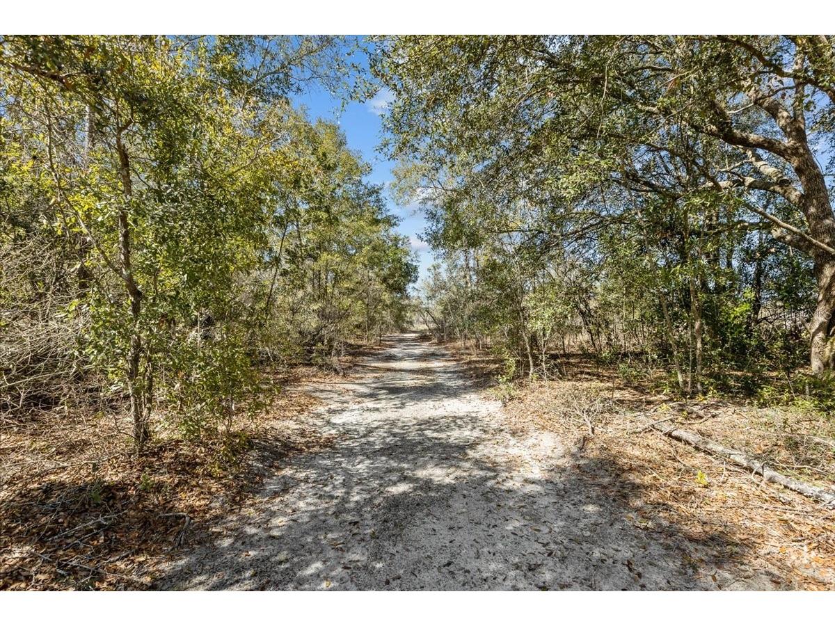 775 SW Choctaw Avenue Fort White FL 32038 TB8480218 image59