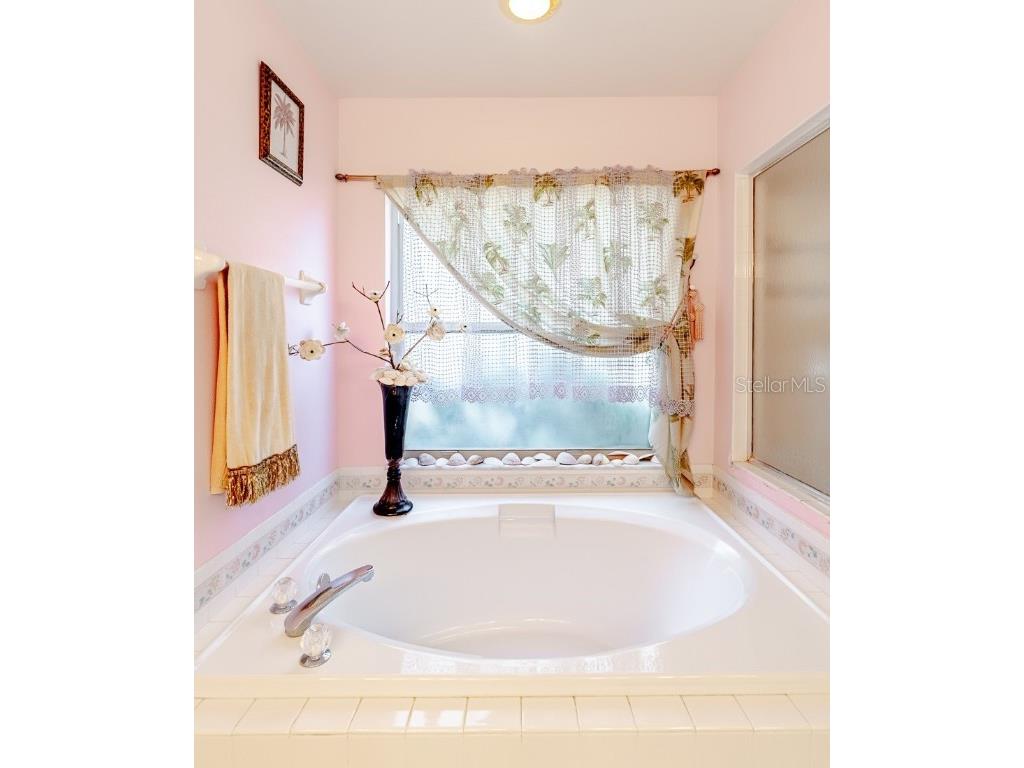 775 Wildflower Drive Palm Harbor FL 34683 TB8408466 image12