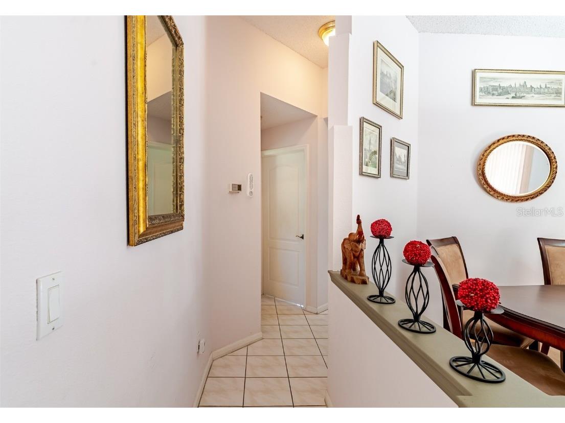 775 Wildflower Drive Palm Harbor FL 34683 TB8408466 image14