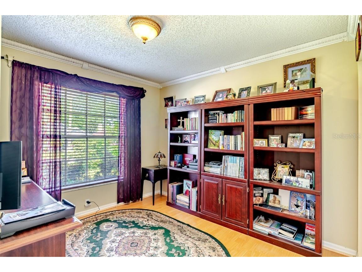 775 Wildflower Drive Palm Harbor FL 34683 TB8408466 image19