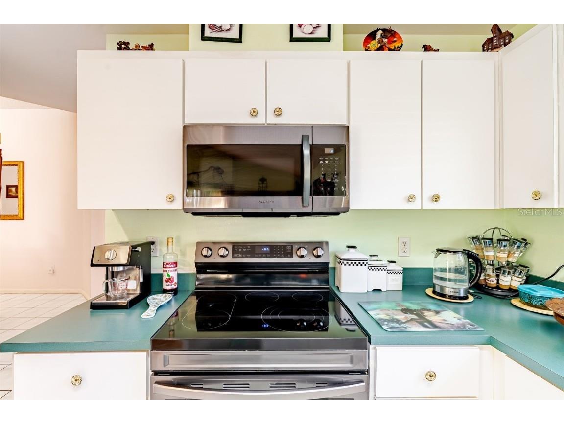 775 Wildflower Drive Palm Harbor FL 34683 TB8408466 image24