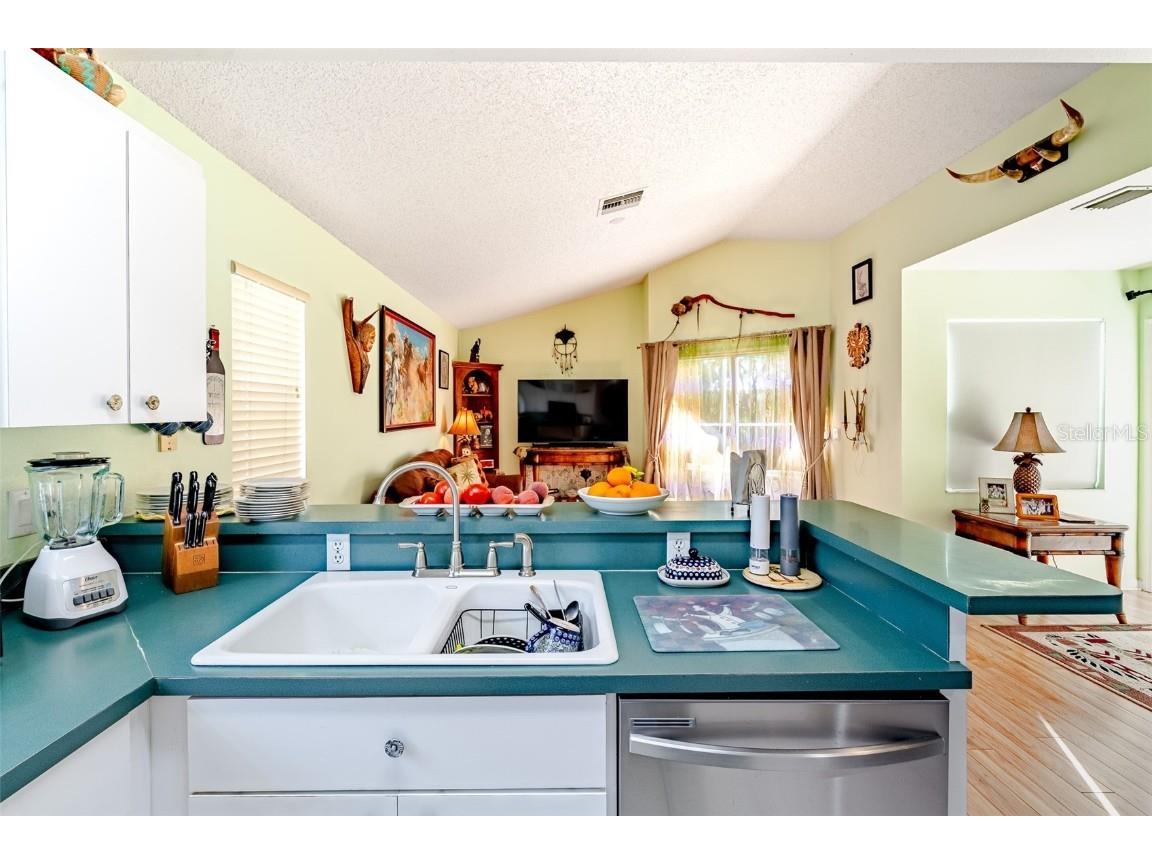 775 Wildflower Drive Palm Harbor FL 34683 TB8408466 image26