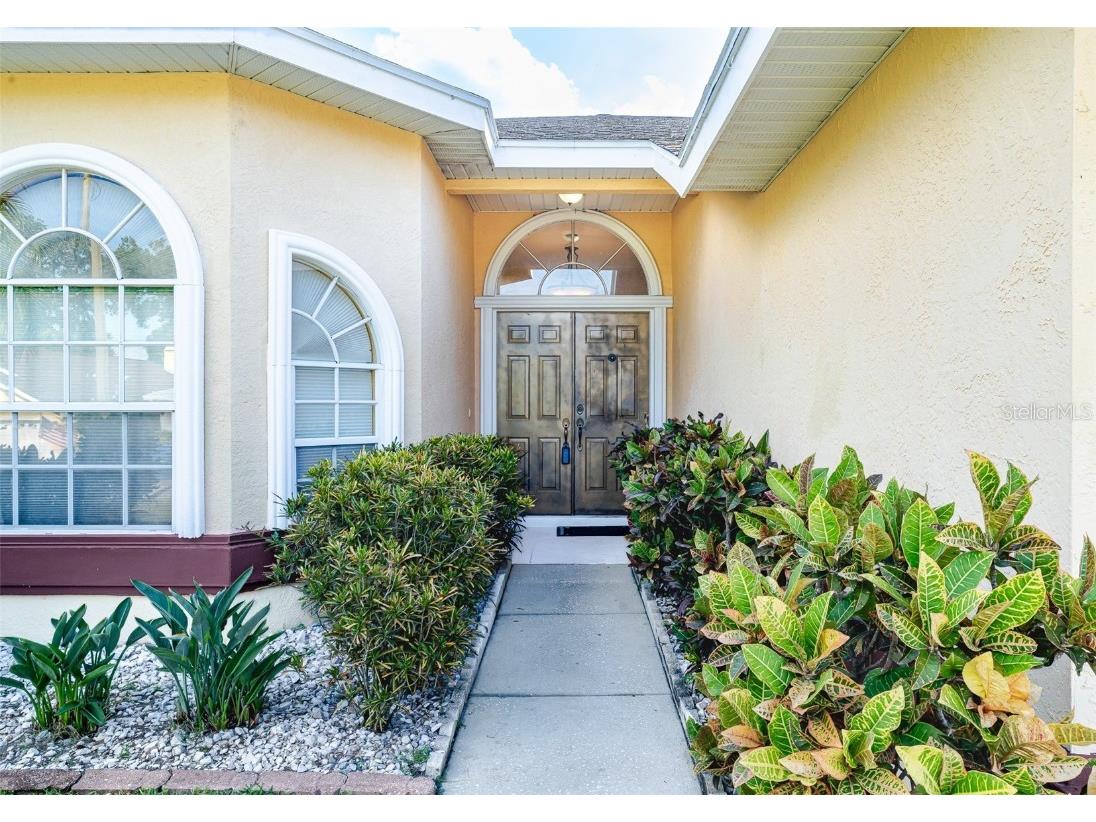 775 Wildflower Drive Palm Harbor FL 34683 TB8408466 image3