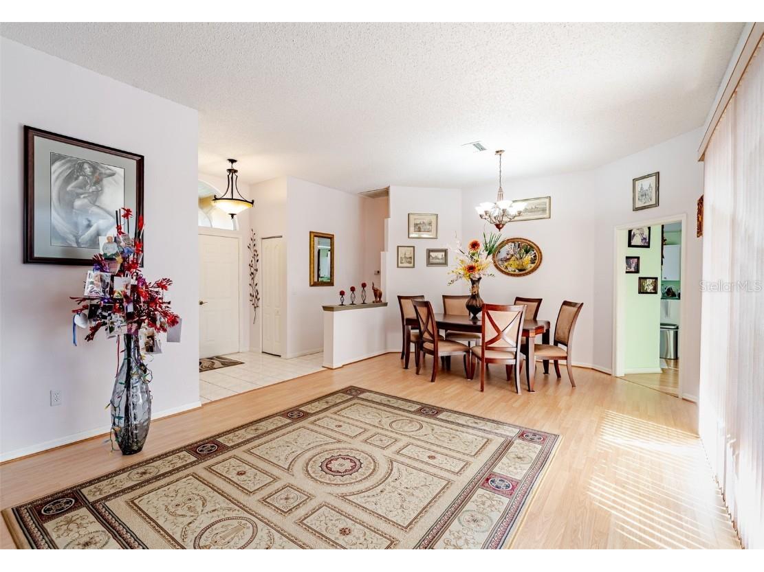 775 Wildflower Drive Palm Harbor FL 34683 TB8408466 image7