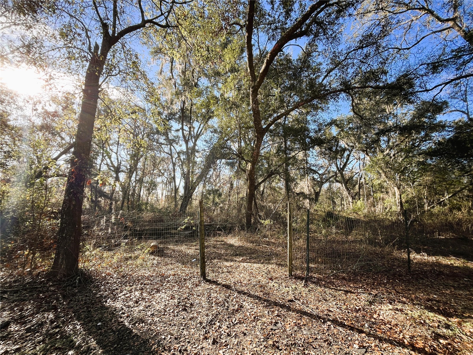 7750 156th Terrace Live Oak FL 32060 O6378942 image34