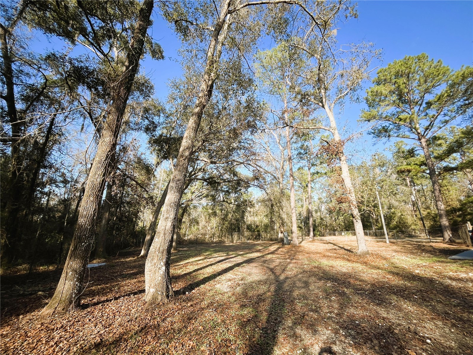 7750 156th Terrace Live Oak FL 32060 O6378942 image35