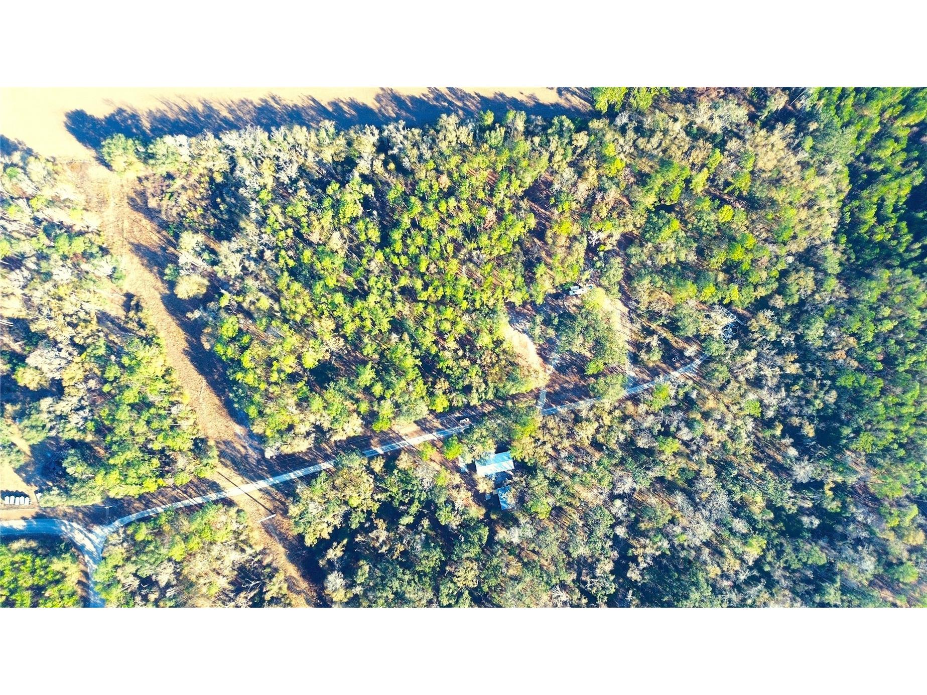 7750 156th Terrace Live Oak FL 32060 O6378942 image41