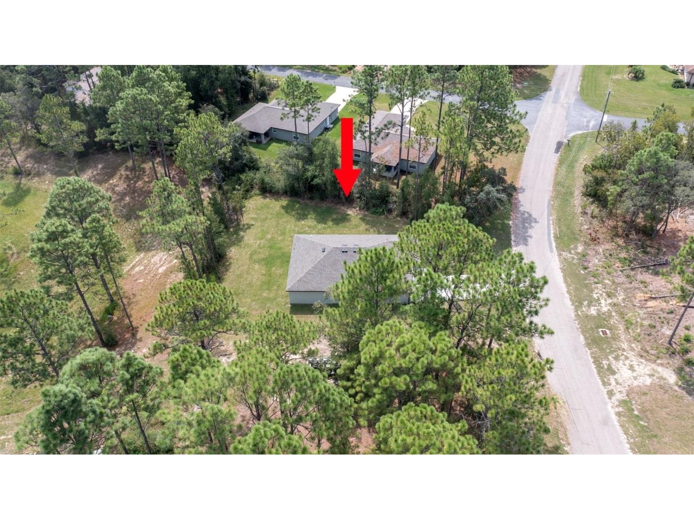 7751 N Cricket Drive Citrus Springs FL 34434 W7879062 image27