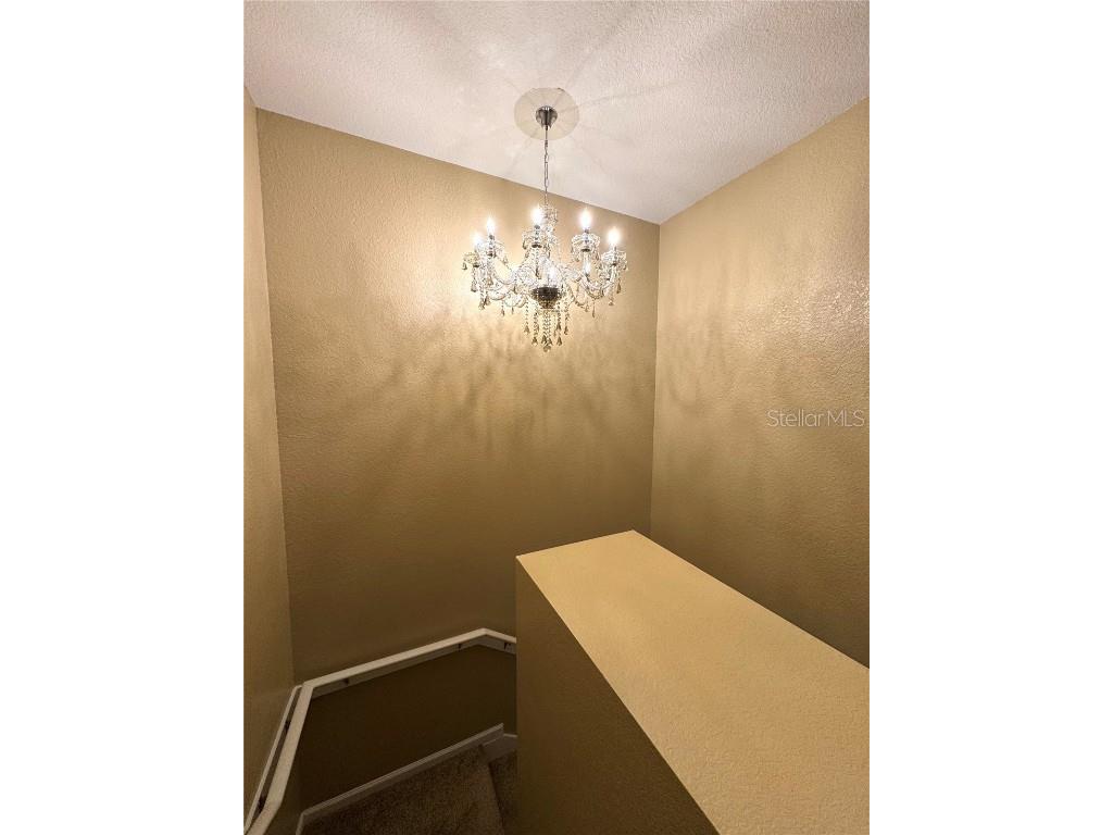 7752 Moser Avenue Windermere FL 34786 O6359144 image12