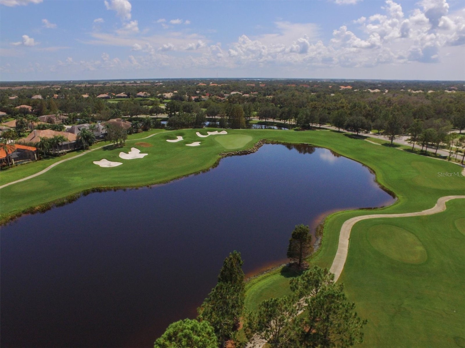 7753 Us Open Loop Lakewood Ranch FL 34202 A4666207 image57