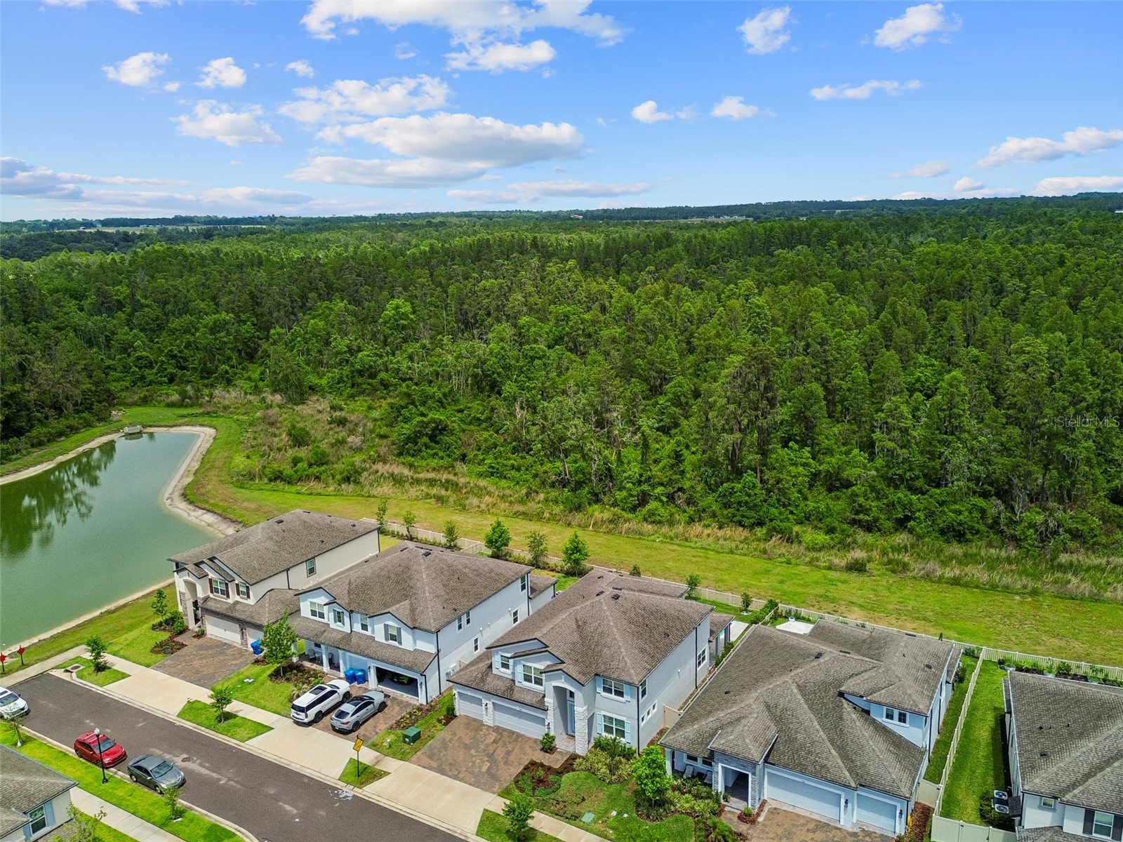 7754 Hemlock Seed Drive Wesley Chapel FL 33545 O6408183 image34