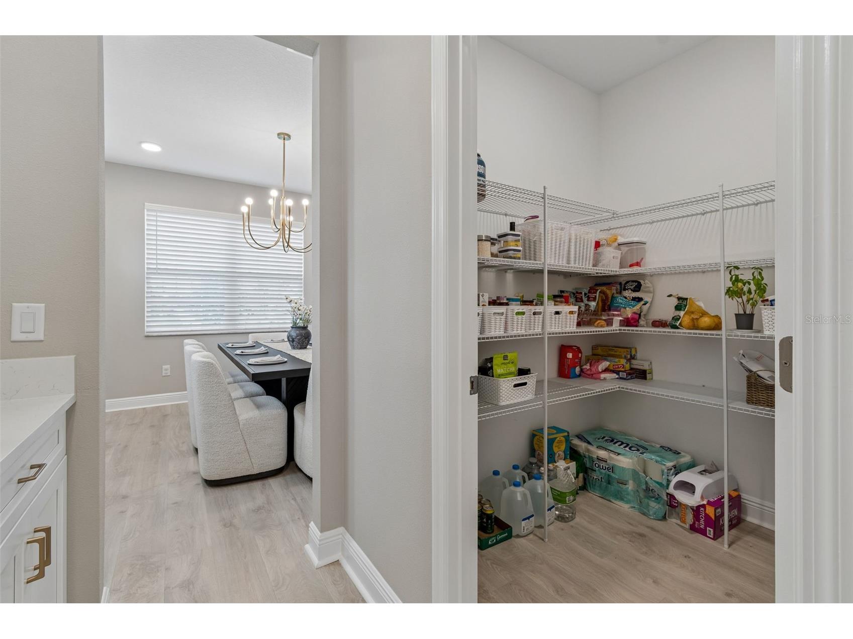 7754 Hemlock Seed Drive Wesley Chapel FL 33545 O6408183 image7