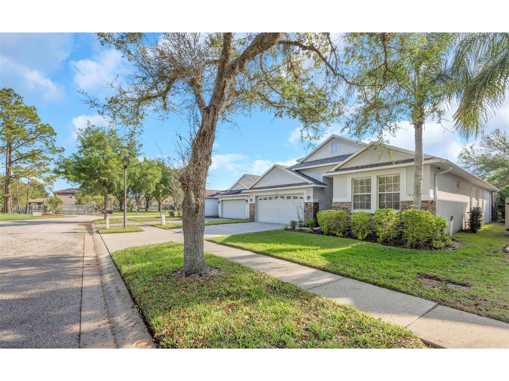 7754 Stoneleigh Drive Land O Lakes FL 34637 TB8485856 image44