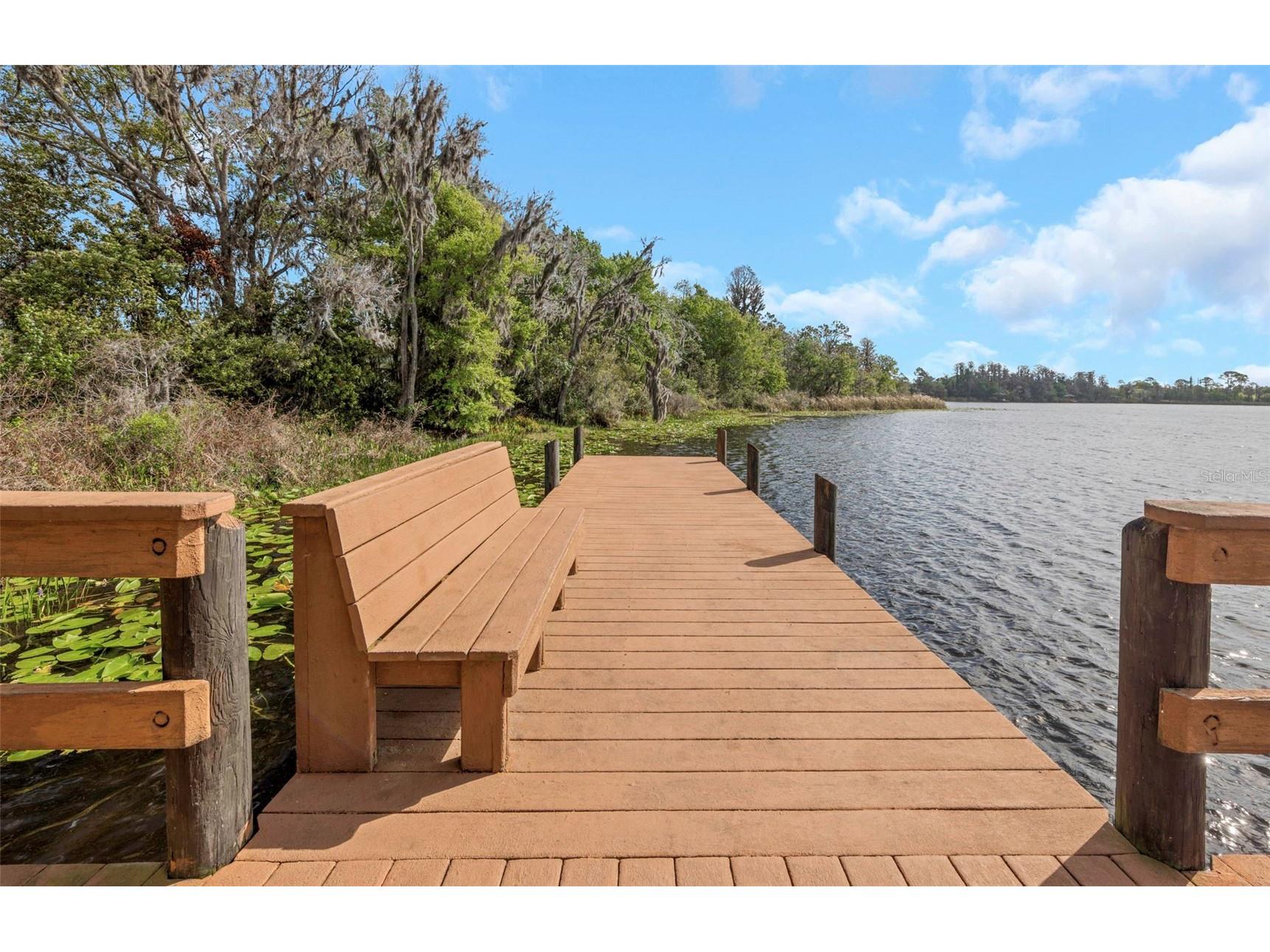 7754 Stoneleigh Drive Land O Lakes FL 34637 TB8485856 image54