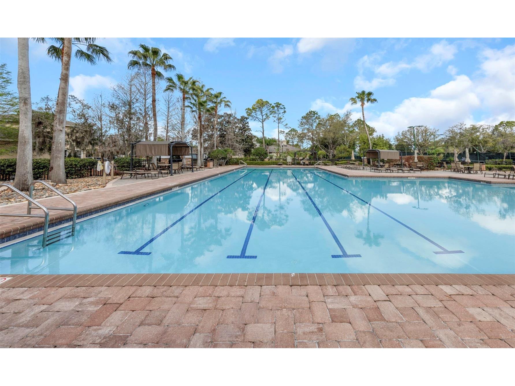 7754 Stoneleigh Drive Land O Lakes FL 34637 TB8485856 image56