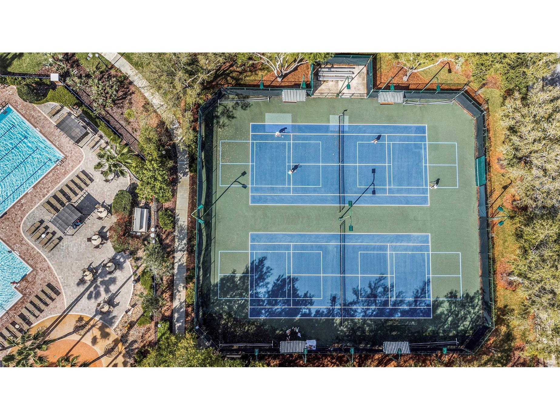 7754 Stoneleigh Drive Land O Lakes FL 34637 TB8485856 image59