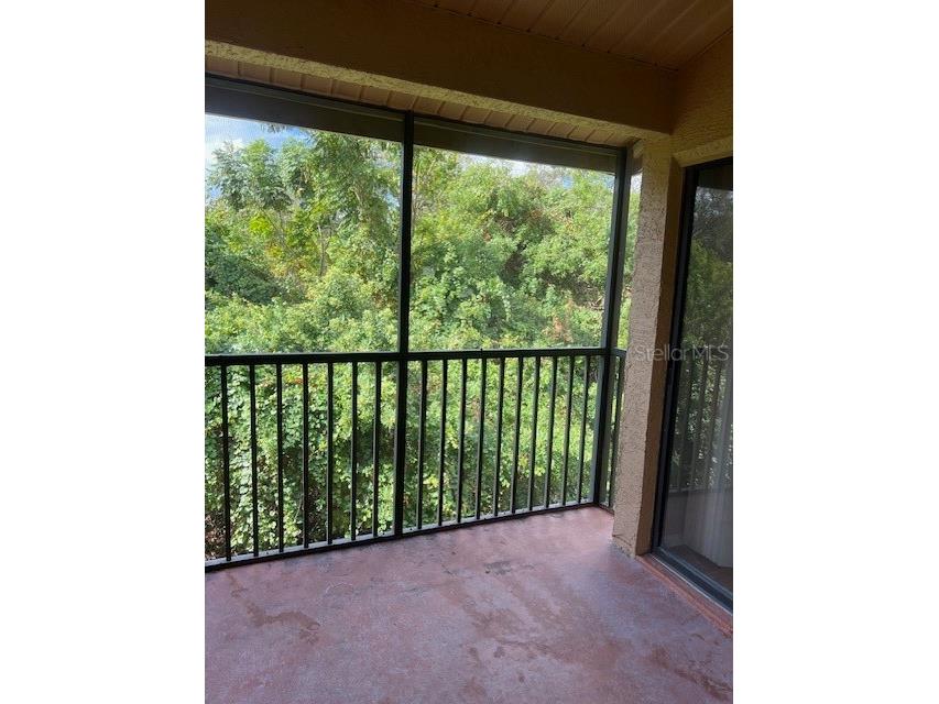 7757 Sugar Bend Drive #7757 Orlando FL 32819 O6340722 image13