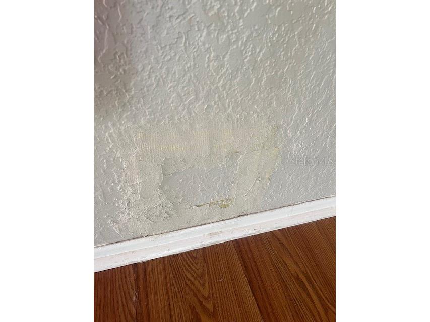 7757 Sugar Bend Drive #7757 Orlando FL 32819 O6340722 image15