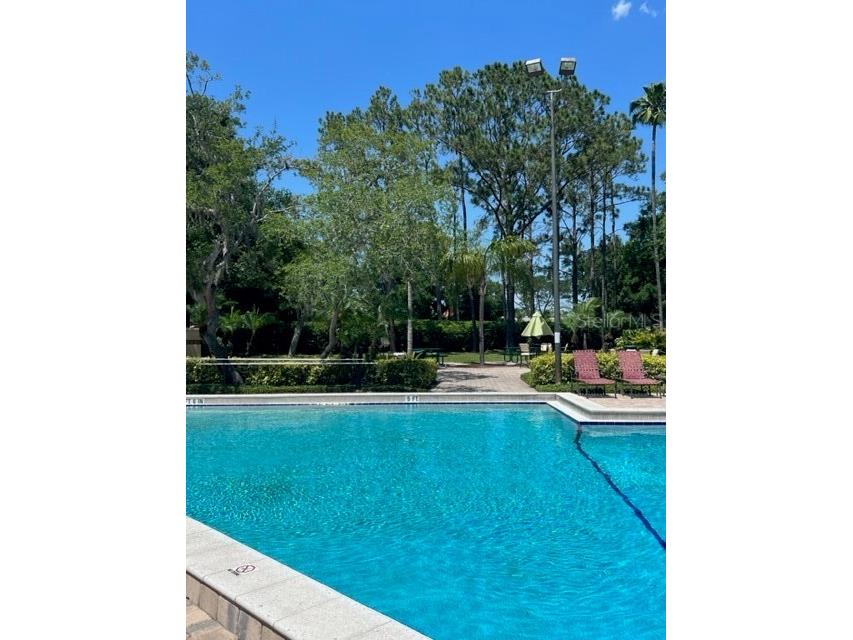 7757 Sugar Bend Drive #7757 Orlando FL 32819 O6340722 image28